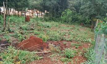 Imagem 3: 4 Chácaras juntas de 600 metros quadrados, 15m de frete e 40m de fundo, cada lote