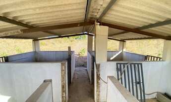 Imagem 4: Fazenda à venda