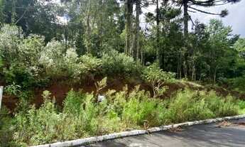 Imagem 4: Terreno - Bairro Dutra