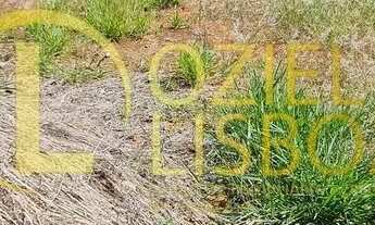 Imagem 7: LOTE 775m² NASCENTE COM 155 DE FRENTE 100%PLANO MURADO COM PORTÃO CONDOMÍNIO RUA 04 VICE