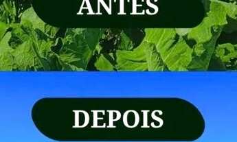 Imagem: Ds(terreno de 500m2 a 300m2 do asfalto!!