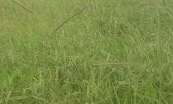 Imagem 3: Terreno em azurita regiao do caxambu