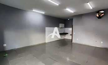 Imagem 4: Aluguel Comodo SANTA MÔNICA