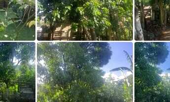 Imagem: Casa junto com chácara no mesmo lote