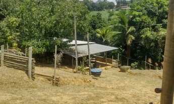 Imagem 3: Sítio para Venda em Guarapari, Comunidade Urbana de Amarelos, 2 dormitórios, 1 banheiro, 2