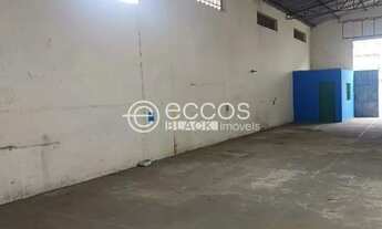 Imagem 3: Galpão para aluguel, GOIÁS - ARAGUARI/MG