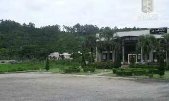 Imagem 3: Excelente terreno com ótima viabilidade comercial as margens da SC 401