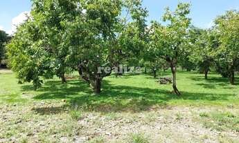 Imagem 2: TERRENO EM GRAMADO