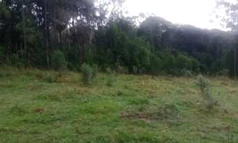 Imagem: CHACARA PARA A FAMILIA