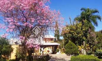 Imagem 2: Terreno no bairro Piá