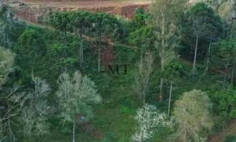 Imagem: Sítio bairro Linha Pirajá, Nova Petrópolis.RS