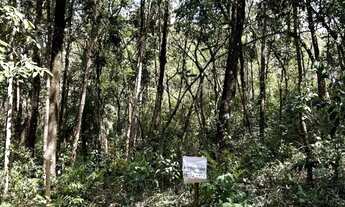 Imagem 5: Lote no Condominio Pasargada 1.100m2