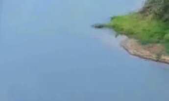 Imagem 7: Chácaras Parceladas 2500m2 no Corumba. !