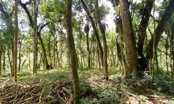 Imagem 2: Chacara Borda do Campo