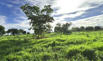 Imagem 2: Fazenda de 180 hectares dupla aptidão negócio de oportunidade
