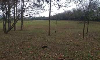 Imagem 2: Sítio em Limeira