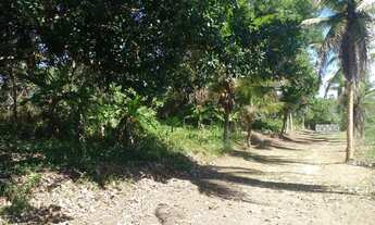 Imagem 5: Sítio em cachoeira Bahia