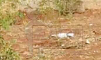 Imagem: Terreno de 200m² com espaço amplo á venda