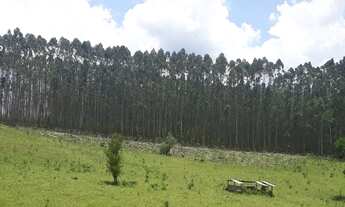 Imagem 2: Sítio arrendamento mensal