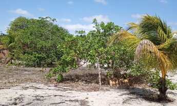 Imagem 2: Casa Barreirinhas Tranquilidade e Natureza
