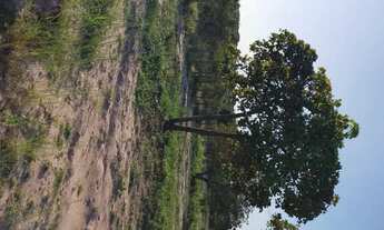 Imagem 7: Terreno Terreno / lote com venda por R$18.000