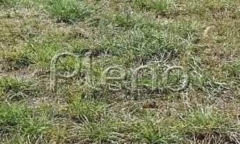 Imagem 6: Terreno à venda em Paulínia, João Aranha, com 300 m², Residencial Aurora