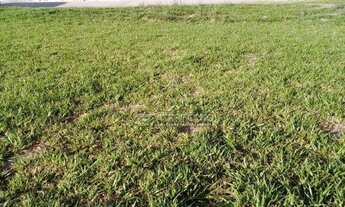 Imagem 2: Loteamento/condomínio à venda em Cajuru do sul, Sorocaba cod:45317