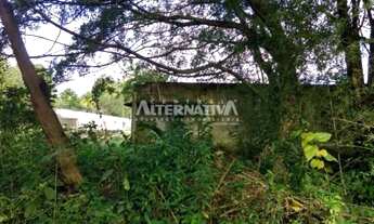 Imagem 3: Ótimo Terreno 5.000M2, Timbó SC, Rua Floriano Peixoto - Área Central da Cidade