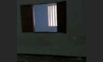 Imagem 6: Casa no Novo Estrela