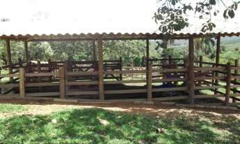 Imagem 7: Lindo terreno rural de 41 hectares na MG-10, Serra do Cipó (Temos varias opções)