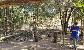 Imagem 4: Chacara em caldas novas