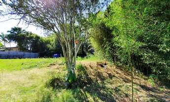 Imagem 3: Terreno Embu Colonial ligeiro declive, quase sem vegetação 1540m2, 31m2