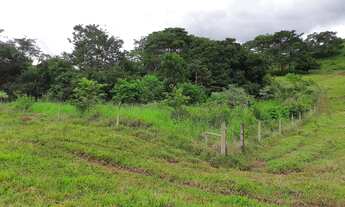 Imagem 2: Terezópolis de Goiás - Chácara