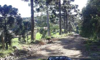 Imagem 7: Área à venda no bairro Caracol - Canela/RS