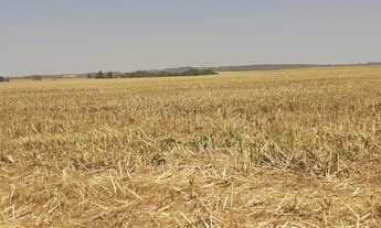 Imagem 2: Fazenda/Sítio/Chácara para venda tem 788900 metros quadrados com 3 quartos