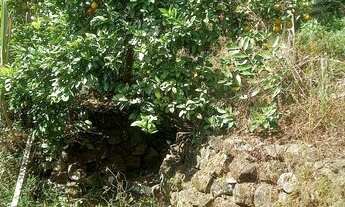 Imagem 3: Vendo Casa Olaria