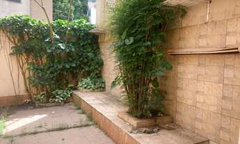 Imagem 6: Lindo sobrado, quase dentro do Parque Aclimação com portão automático