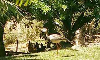 Imagem 2: Chácara em São João Nepomuceno