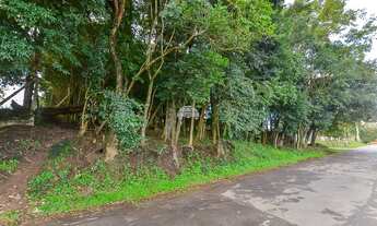 Imagem 4: Lote/Terreno para venda tem 4430 metros quadrados em Augusta - Curitiba - PR