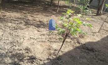 Imagem 5: Terreno para Venda em Pindamonhangaba, Moreira César