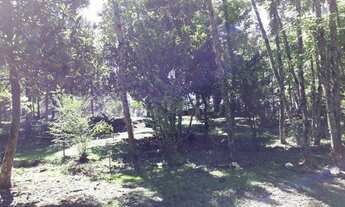 Imagem 3: Área à venda no bairro Caracol - Canela/RS