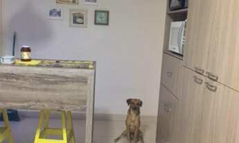 Imagem 5: CASA PARA VENDA - VALE DAS PALMEIRAS - MACAÉ/RJ