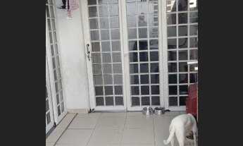 Imagem 6: Apartamento para venda com 95 metros quadrados com 2 quartos em Penha de França - São Paul