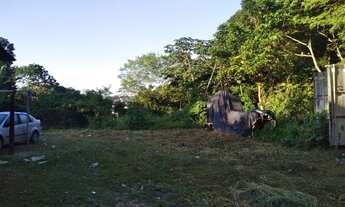 Imagem 7: Terreno c/ 2 frentes-6.785m² -Entrada Cj. Boas Novas acesso Av. das Torres - C. Nova, Mana