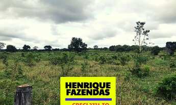 Imagem 5: Fazenda Miracema 425,92 hectares