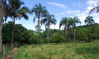 Imagem 7: Terezópolis de Goiás - Chácara