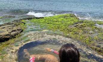 Imagem 3: Pousada a 400 metros da praia da Tartaruga- 14 apartamentos- Jardim /arvores frutíferas