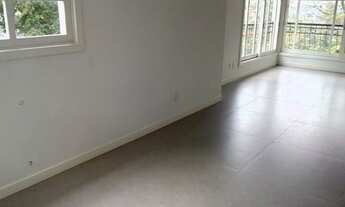 Imagem 6: GRAMADO - Padrão - Planalto