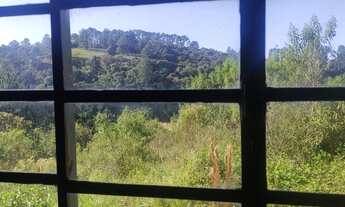 Imagem 7: 6,7 hectares casarão 4 dorm 337 mil reais