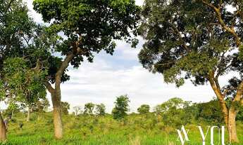 Imagem 2: Bela Vista de Goiás - Conjunto Comercial/Sala - Zona Rural